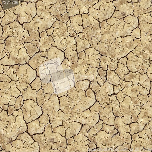 Image of Cracked Brown Soil. Seamless Texture.