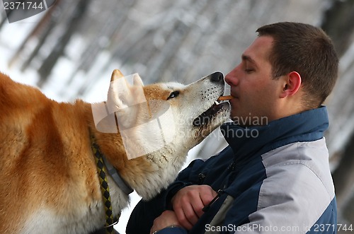 Image of Akita Inu