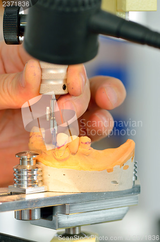 Image of Dental technician measuring dentures