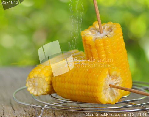 Image of corn boiled 