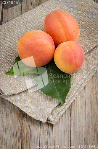 Image of Apricots with leaves