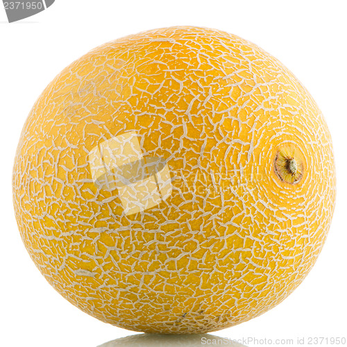 Image of Yellow melon 