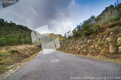 Image of Asphalt road