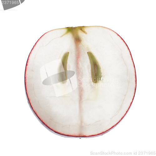 Image of Translucent slice of red grape