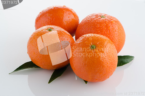 Image of Ripe tangerines or mandarin