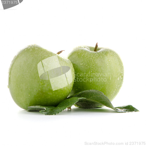 Image of Two fresh green apples