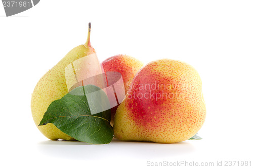 Image of Three ripe pears