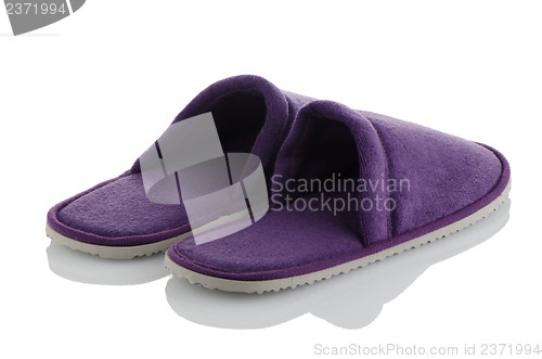 Image of A pair of purple slippers