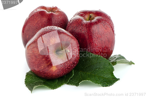 Image of Ripe red apples
