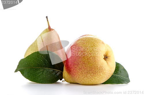Image of Three ripe pears