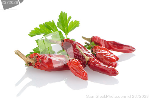 Image of Red chili or chilli pepper and parsley leaves