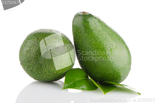 Image of Avocados on white 
