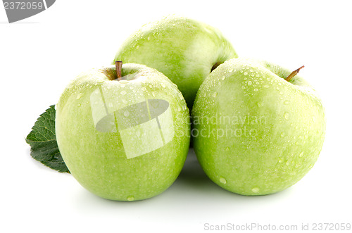 Image of Three fresh green apples