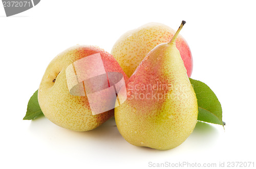 Image of Three ripe pears