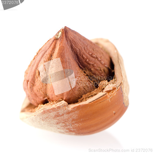 Image of Cracked hazelnut