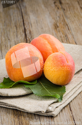 Image of Apricots with leaves