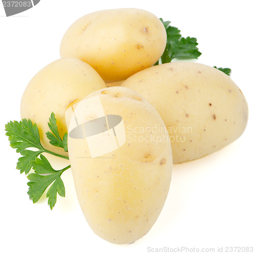 Image of New potatoes and green parsley