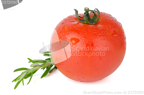 Image of Red tomato