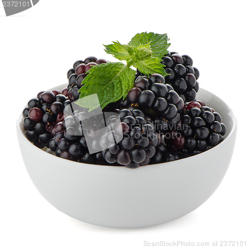 Image of Blackberries in White Bowl