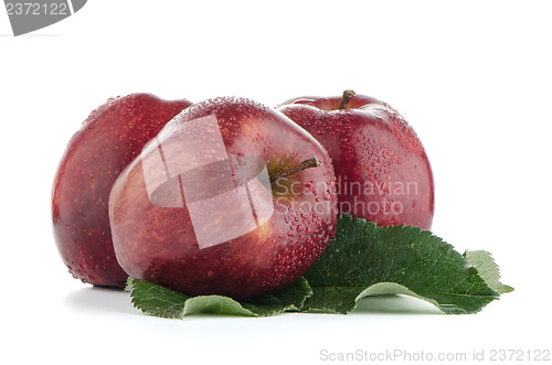 Image of Ripe red apples
