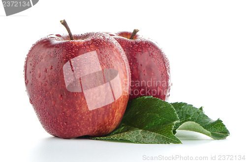 Image of Ripe red apples