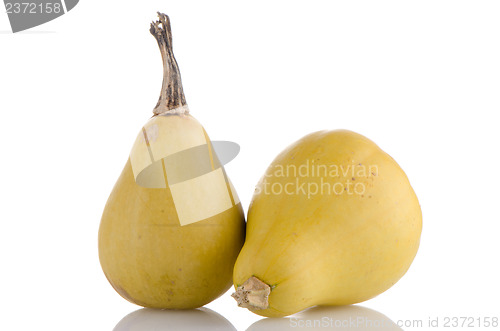 Image of Yellow pumpkins
