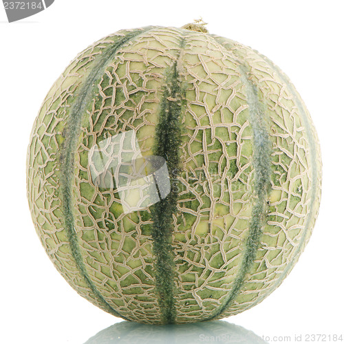 Image of Cantaloupe melon 