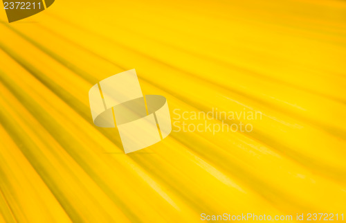 Image of Abstract Background