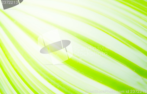 Image of Abstract Background