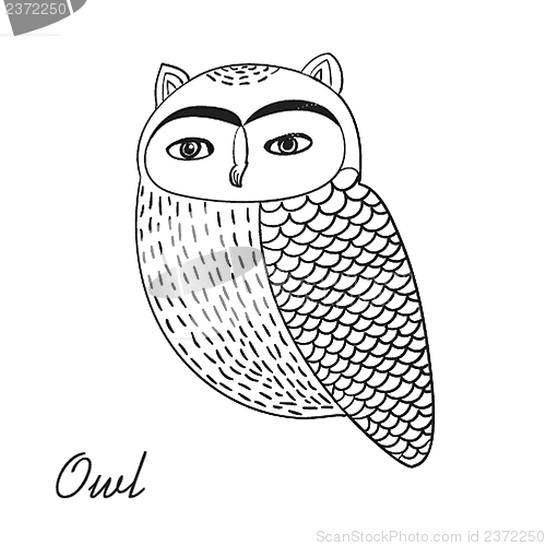 Image of Cute hand drawn owl bird illustration