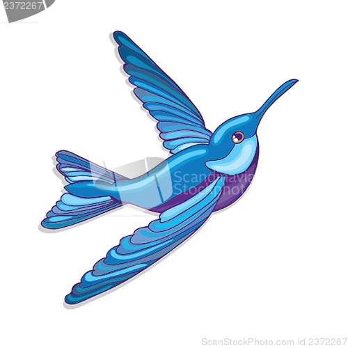 Image of Blue hummingbird, vector illustration