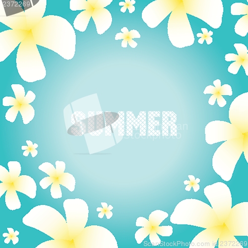 Image of Summer background with frangipani flowers