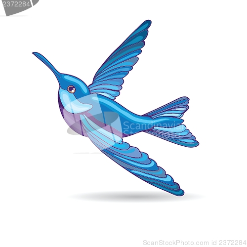 Image of Blue hummingbird, vector illustration