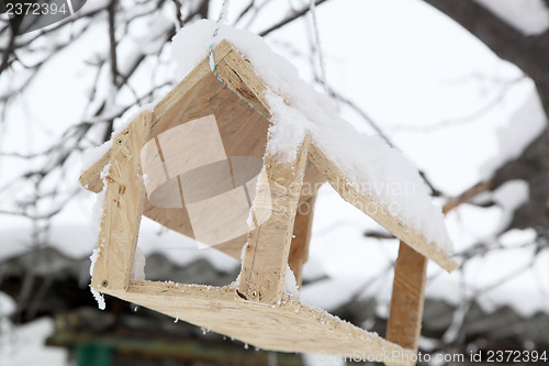 Image of  bird feed