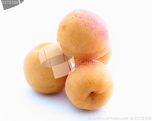 Image of apricots