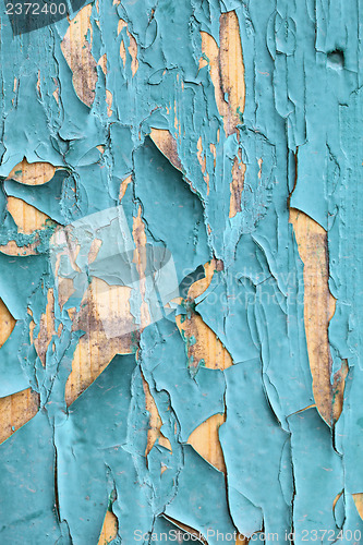 Image of green paint