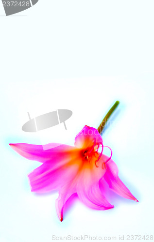 Image of no caption