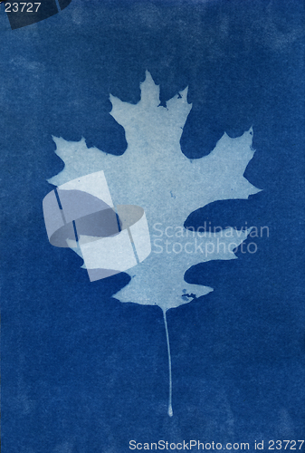 Image of Cyan Leaf