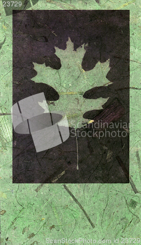 Image of Leaf Print