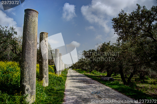 Image of Sebastia archeology ancient ruins