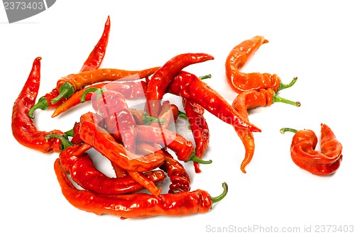 Image of Wet red chili peppers 