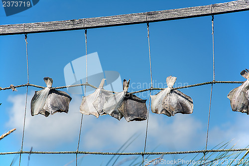 Image of Stockfish