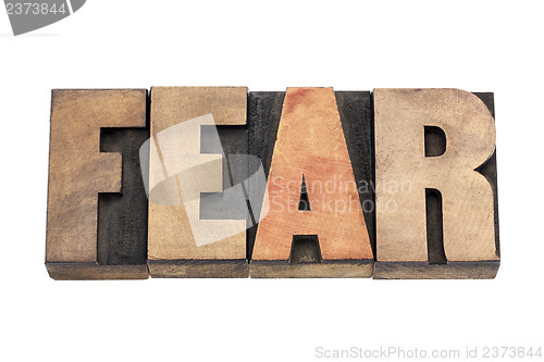 Image of fear word in wood type