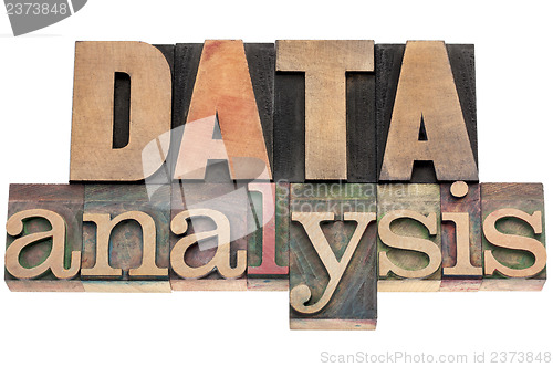 Image of data analysis in wood type