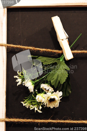 Image of Flowers pegged to a black board