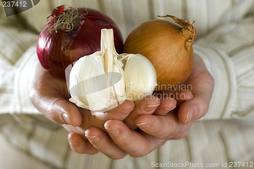 Image of onion