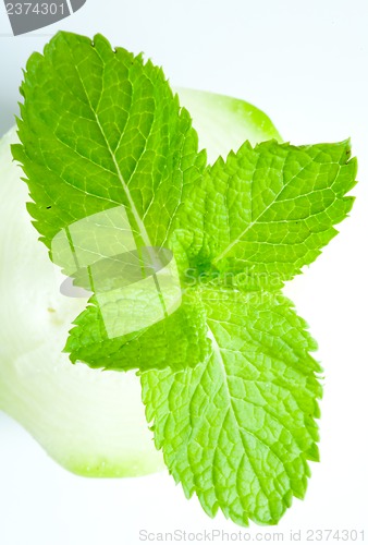 Image of Fresh mint leaves