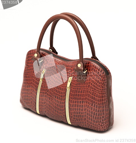 Image of Crocodile leather handbag isolated