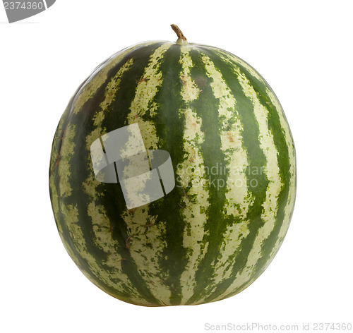 Image of Watermelon isolated