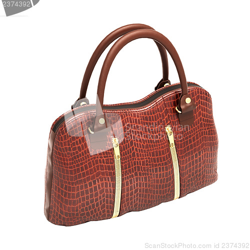 Image of Crocodile leather handbag isolated